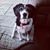 Kim Harter's profile image
