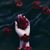 Hanan Mohammed's profile image