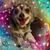 Julie Metcalf's profile image