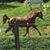 Kate Justet Triplett's profile image
