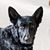 Chuck Trimble's profile image