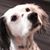 Judy Hildebran's profile image
