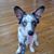 Taffanie Stavely's profile image