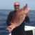 Steve Kelly's profile image