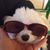 Monica Colontonio Macho's profile image