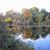 Lori Susan Stein-Therwanger's profile image