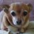 Myra Micky Germolus's profile image