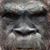 Robb Gurosko's profile image