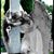 Susan Wills's profile image