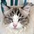 Rosaleen Costanzo Bierwagen's profile image