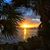 Linda Smith's profile image