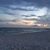 Susan Waller-Mummert's profile image