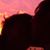 Elizabeth Anne Bonner's profile image