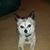 Valerie Renee Manon's profile image