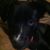 Jen S Ferrell's profile image