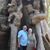 Donna Wigley's profile image