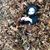 Linda Cropp's profile image