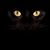 John Jedrzejek's profile image