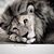 Terri Clinton Sola's profile image