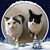 Barbara Harris Stevens's profile image