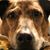 Ronna Frndz's profile image