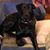 Dave Patty McDaniel's profile image