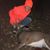 Stacie Schultz-Olin's profile image