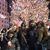 Debra Vasconcellos's profile image