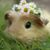 Donna Marie Kruse's profile image