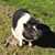 Bronwyn Hogan's profile image