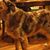 Charlie Adkinson's profile image