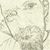 Bruce M Buchanan's profile image