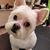Pamla Abbott Oedewaldt McCarty's profile image