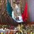 Salustio Degante's profile image