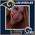 Julie Scarpinata Enriquez's profile image
