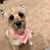 Karen Mabry Williamson's profile image