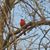 Mary Lou Jackson's profile image