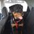 Melanie Ridgeway Beard's profile image