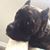 Robin L Haggard's profile image