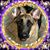 Debbie Vick Meeks's profile image
