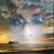 Norma Marquez's profile image