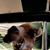 Kristy Loy's profile image