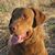 Rick Sprake's profile image