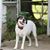 Kathy Peart's profile image