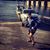 Colton Muir's profile image