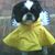 Pamela B Taylor's profile image