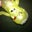 dave graver's profile image