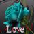 Chaton Bleu Guimond's profile image