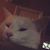 Nathon Trimberger's profile image