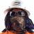 Brandon Yazzie's profile image